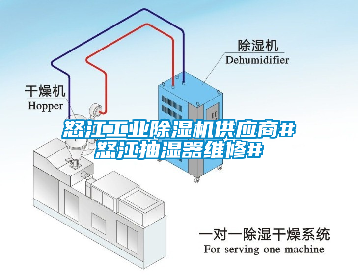 怒江工业芭乐APP下载官网入口新版供应商#怒江抽湿器维修#