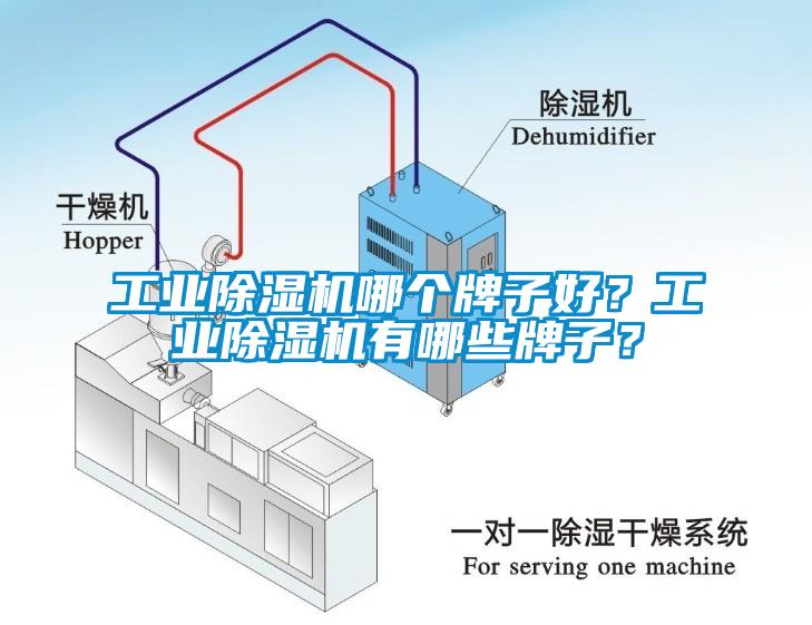 工业芭乐APP下载官网入口新版哪个牌子好？工业芭乐APP下载官网入口新版有哪些牌子？