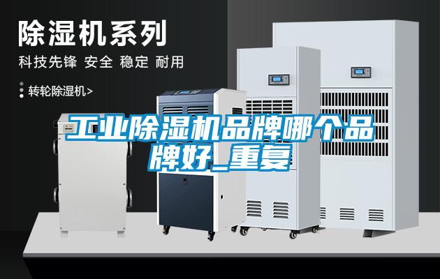 工业芭乐APP下载官网入口新版品牌哪个品牌好_重复