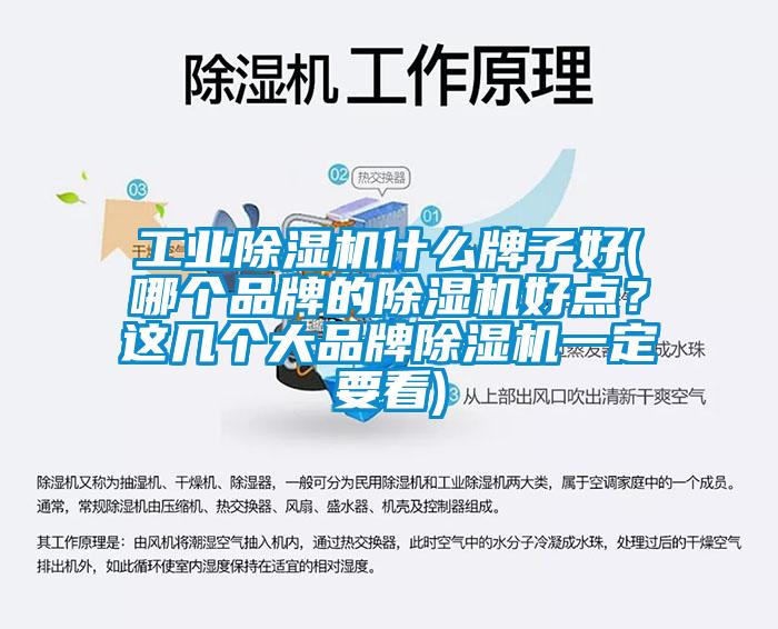 工业芭乐APP下载官网入口新版什么牌子好(哪个品牌的芭乐APP下载官网入口新版好点？这几个大品牌芭乐APP下载官网入口新版一定要看)