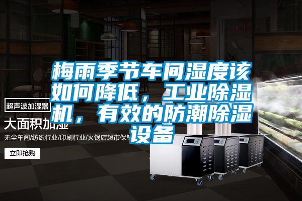 梅雨季节车间湿度该如何降低，工业芭乐APP下载官网入口新版，有效的防潮除湿设备