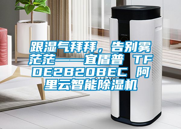 跟湿气拜拜，告别雾茫茫——宜盾普 TFDE2B20BEC 阿里云智能芭乐APP下载官网入口新版