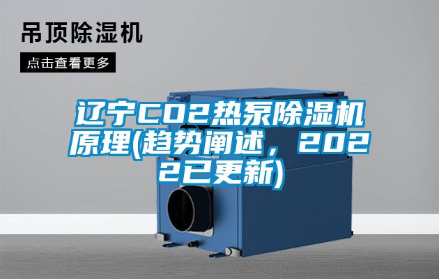 辽宁CO2热泵芭乐APP下载官网入口新版原理(趋势阐述，2022已更新)