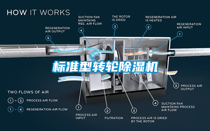 标准型转轮芭乐APP下载官网入口新版