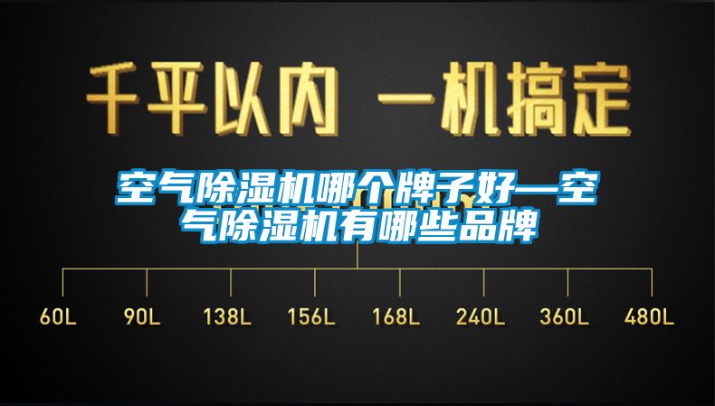 空气芭乐APP下载官网入口新版哪个牌子好—空气芭乐APP下载官网入口新版有哪些品牌