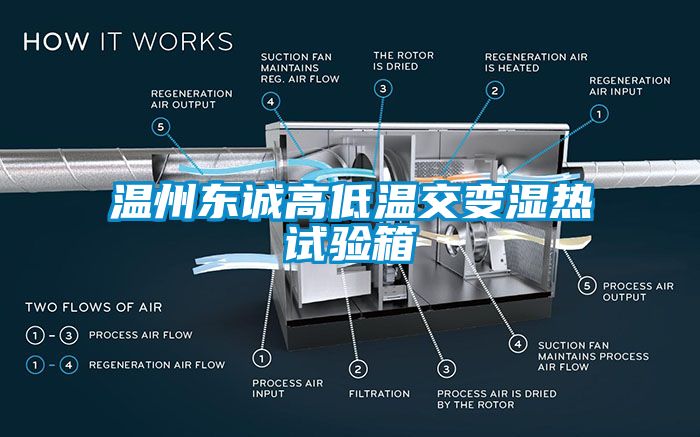 温州东诚高低温交变湿热试验箱