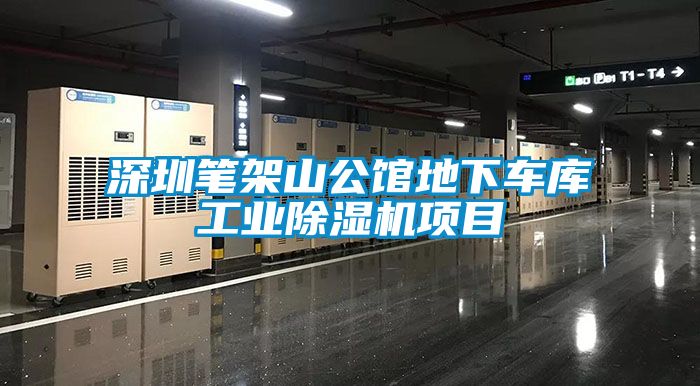 深圳笔架山公馆地下车库工业芭乐APP下载官网入口新版项目