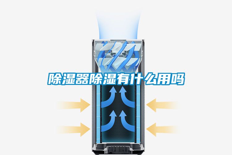 除湿器除湿有什么用吗