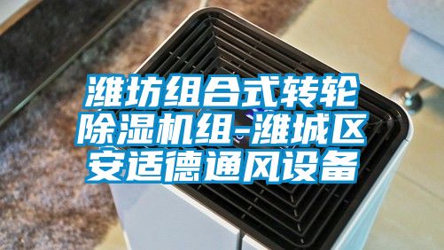 潍坊组合式转轮芭乐APP下载官网入口新版组-潍城区安适德通风设备