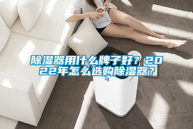 除湿器用什么牌子好？2022年怎么选购除湿器？