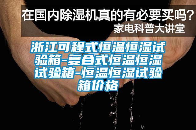 浙江可程式恒温恒湿试验箱-复合式恒温恒湿试验箱-恒温恒湿试验箱价格