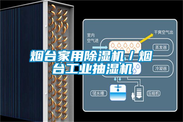 烟台家用芭乐APP下载官网入口新版／烟台工业抽湿机