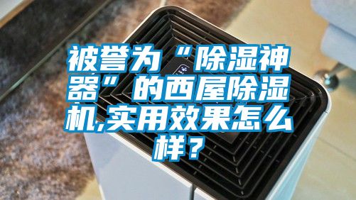 被誉为“除湿神器”的西屋芭乐APP下载官网入口新版,实用效果怎么样？