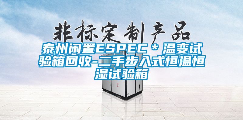 泰州闲置ESPEC＊温变试验箱回收-二手步入式恒温恒湿试验箱