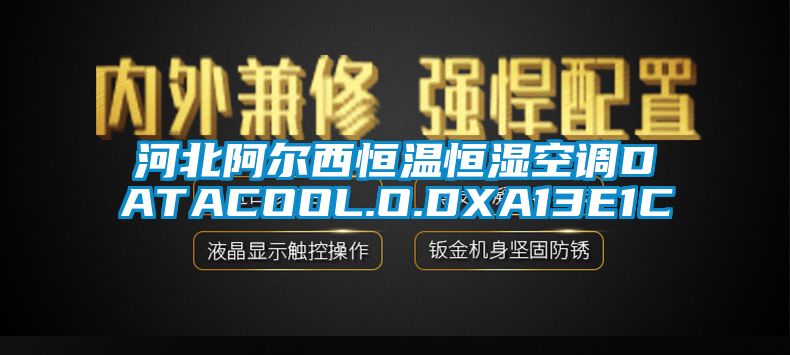 河北阿尔西恒温恒湿空调DATACOOL.O.DXA13E1C