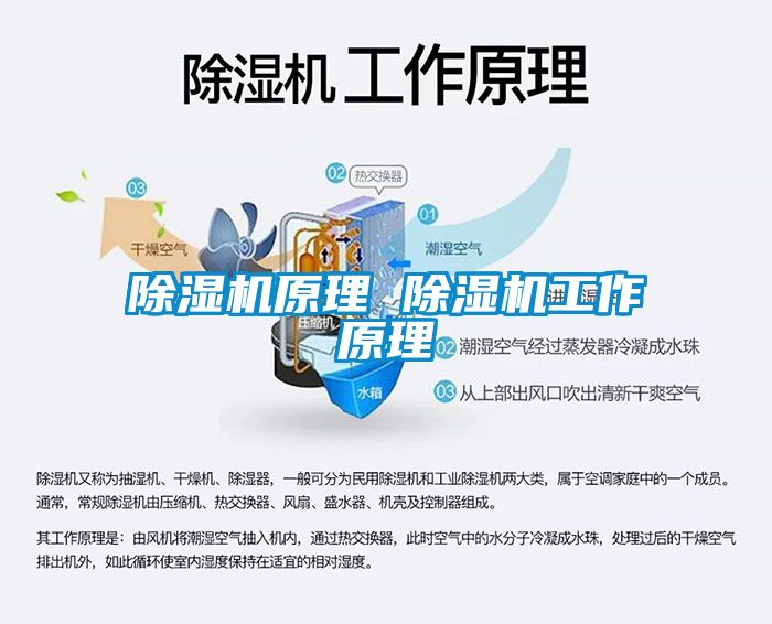 芭乐APP下载官网入口新版原理 芭乐APP下载官网入口新版工作原理