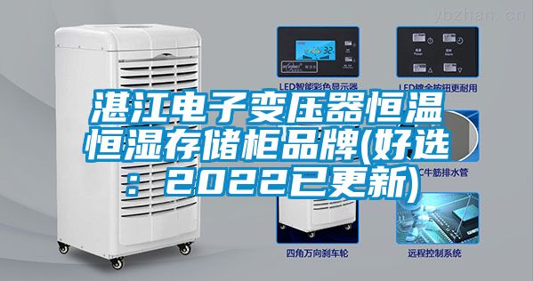 湛江电子变压器恒温恒湿存储柜品牌(好选：2022已更新)