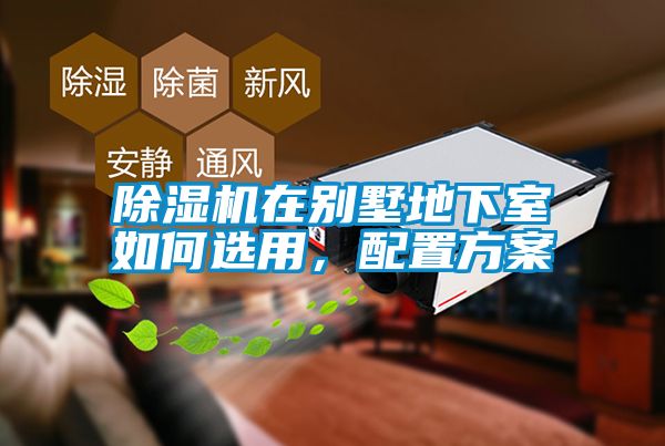 芭乐APP下载官网入口新版在别墅地下室如何选用，配置方案