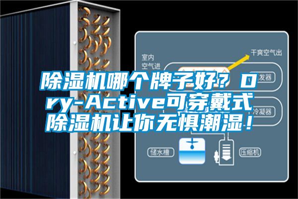 芭乐APP下载官网入口新版哪个牌子好？Dry-Active可穿戴式芭乐APP下载官网入口新版让你无惧潮湿！