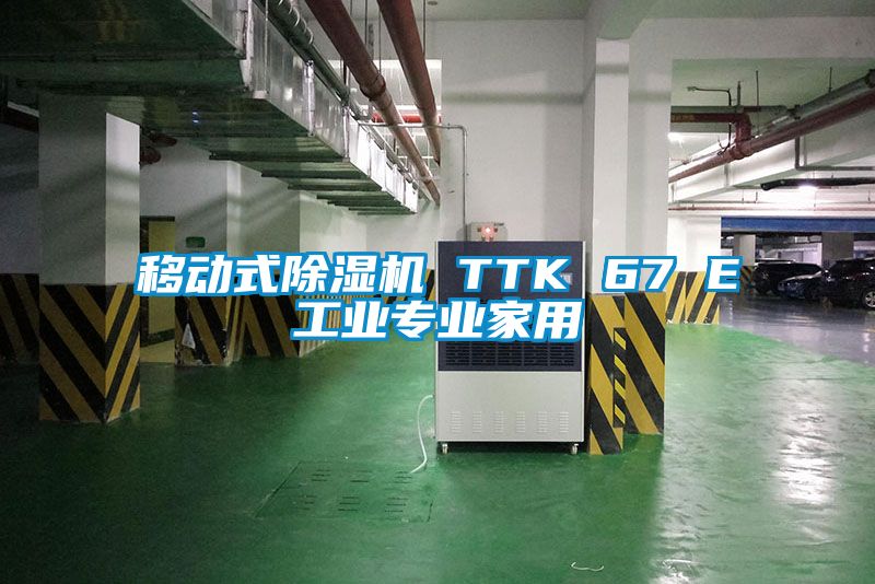 移动式芭乐APP下载官网入口新版 TTK 67 E工业专业家用