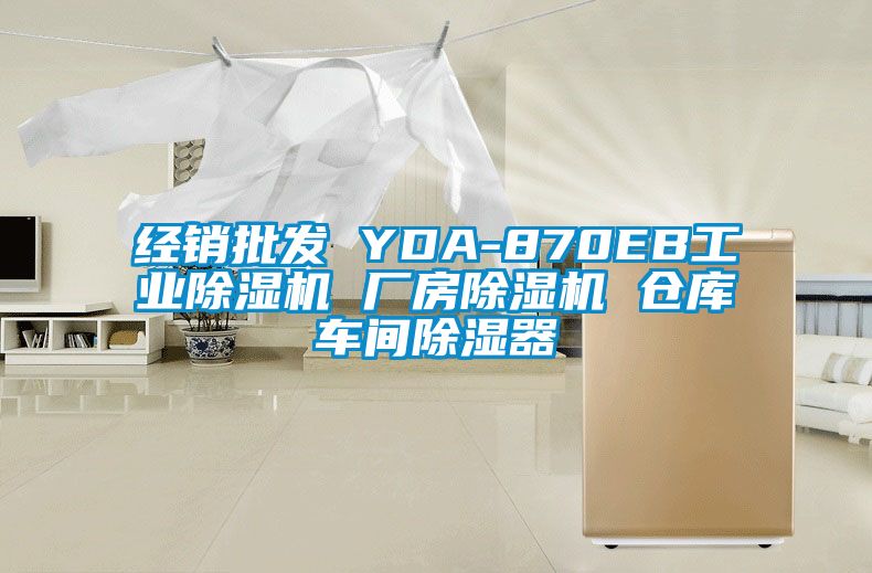 经销批发 YDA-870EB工业芭乐APP下载官网入口新版 厂房芭乐APP下载官网入口新版 仓库车间除湿器