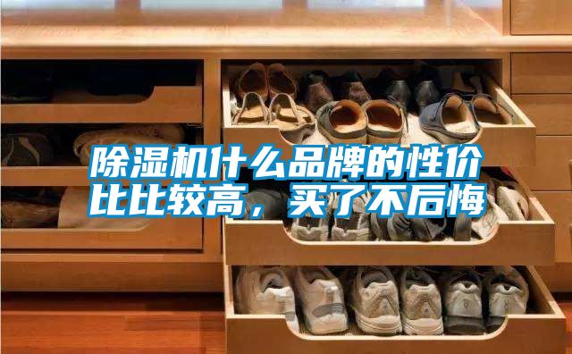 芭乐APP下载官网入口新版什么品牌的性价比比较高，买了不后悔