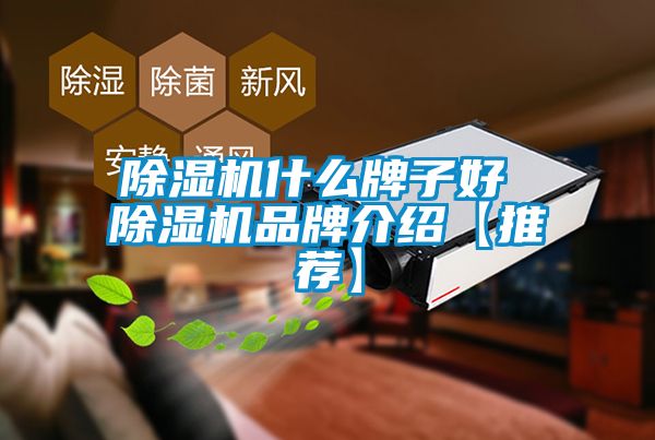 芭乐APP下载官网入口新版什么牌子好 芭乐APP下载官网入口新版品牌介绍【推荐】