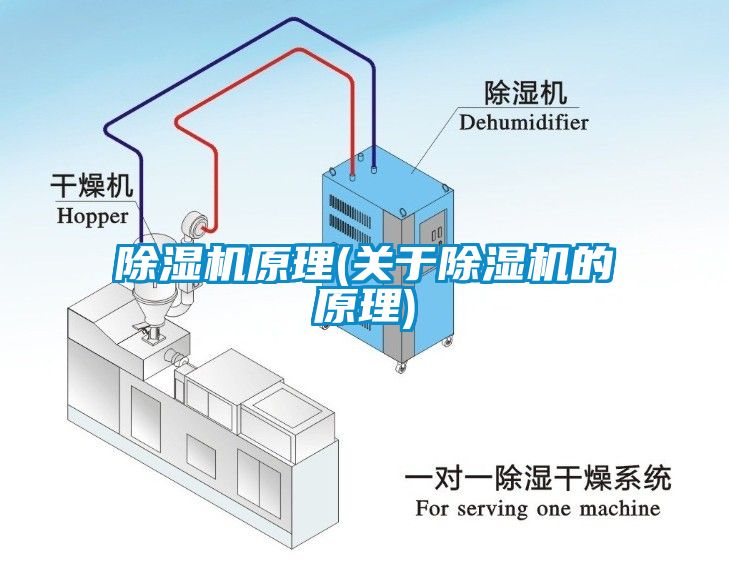 芭乐APP下载官网入口新版原理(关于芭乐APP下载官网入口新版的原理)