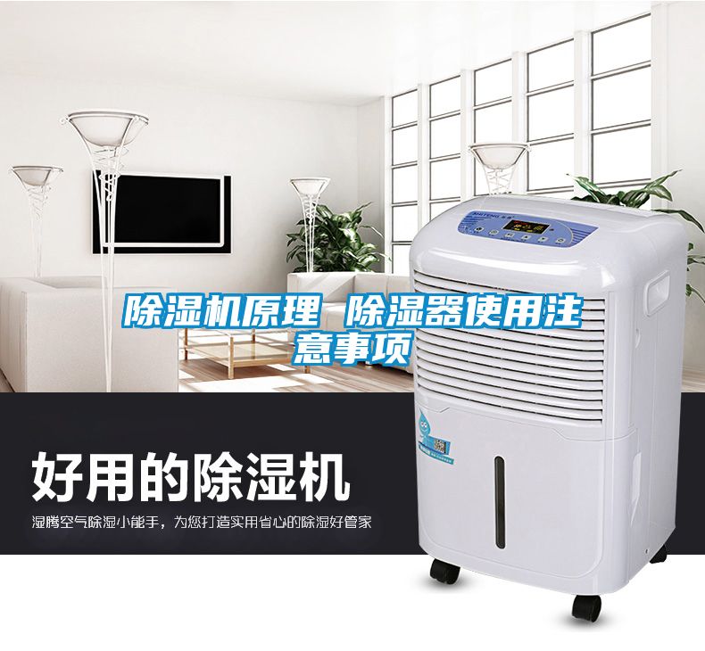 芭乐APP下载官网入口新版原理 除湿器使用注意事项