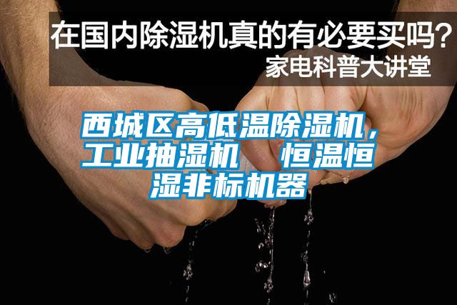 西城区高低温芭乐APP下载官网入口新版，工业抽湿机  恒温恒湿非标机器