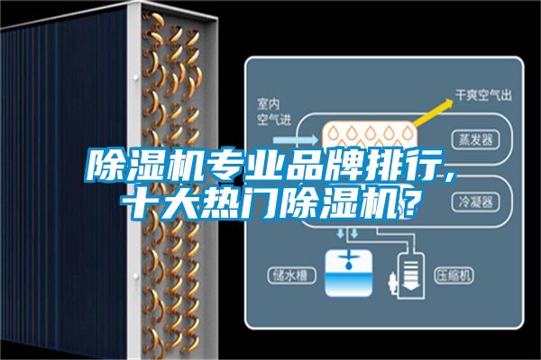 芭乐APP下载官网入口新版专业品牌排行,十大热门芭乐APP下载官网入口新版？