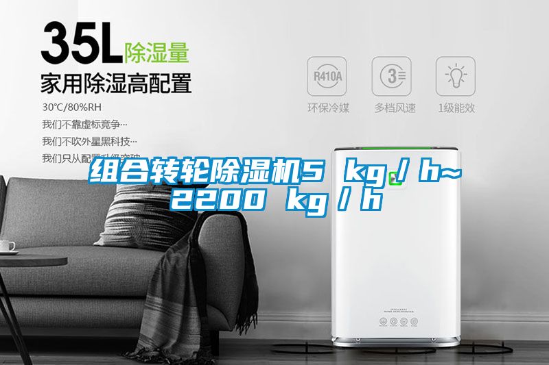 组合转轮芭乐APP下载官网入口新版5 kg／h~2200 kg／h