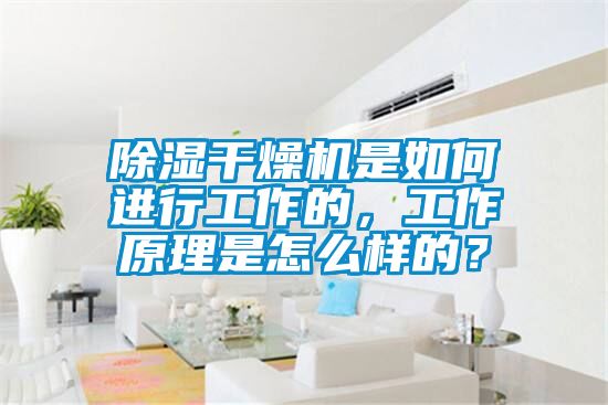 除湿干燥机是如何进行工作的，工作原理是怎么样的？