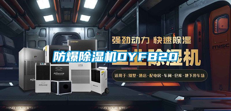 防爆芭乐APP下载官网入口新版DYFB20