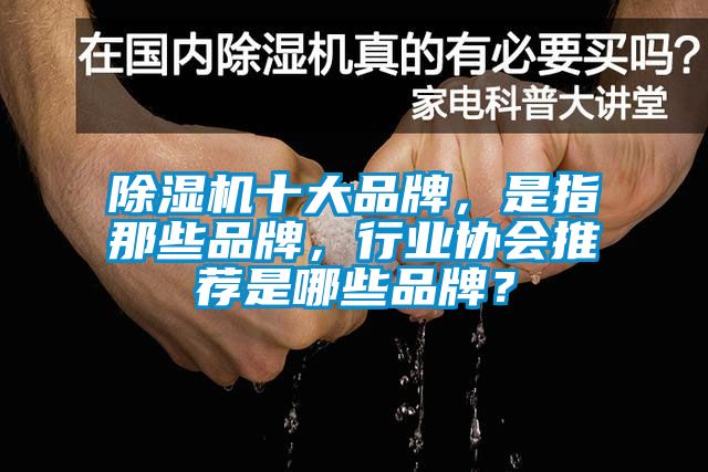 芭乐APP下载官网入口新版十大品牌，是指那些品牌，行业协会推荐是哪些品牌？