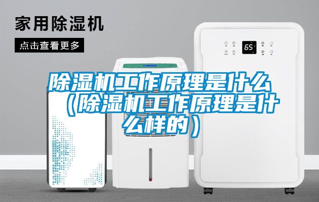 芭乐APP下载官网入口新版工作原理是什么（芭乐APP下载官网入口新版工作原理是什么样的）