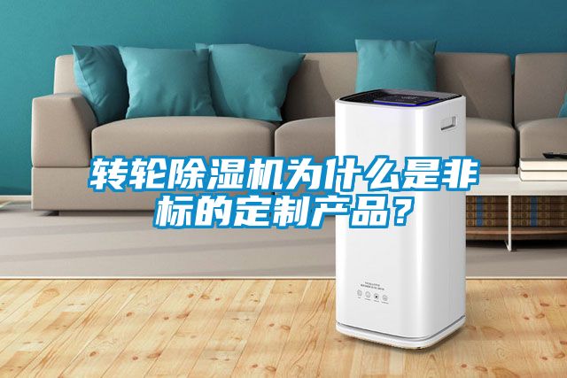 转轮芭乐APP下载官网入口新版为什么是非标的定制产品？