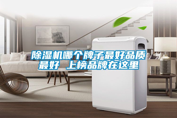 芭乐APP下载官网入口新版哪个牌子最好品质最好 上榜品牌在这里