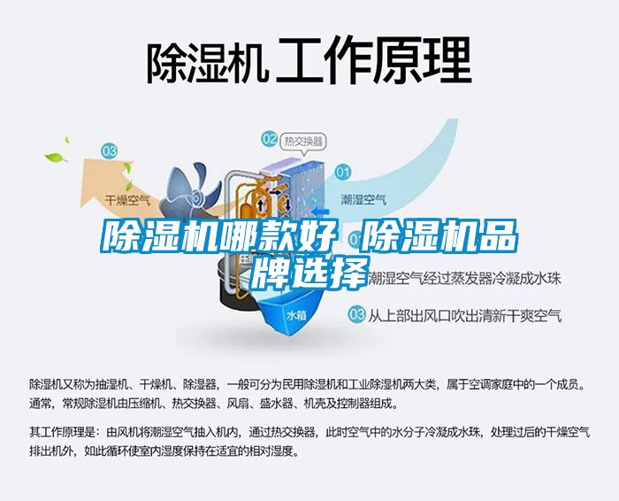 芭乐APP下载官网入口新版哪款好 芭乐APP下载官网入口新版品牌选择