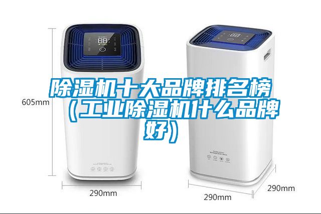 芭乐APP下载官网入口新版十大品牌排名榜（工业芭乐APP下载官网入口新版什么品牌好）