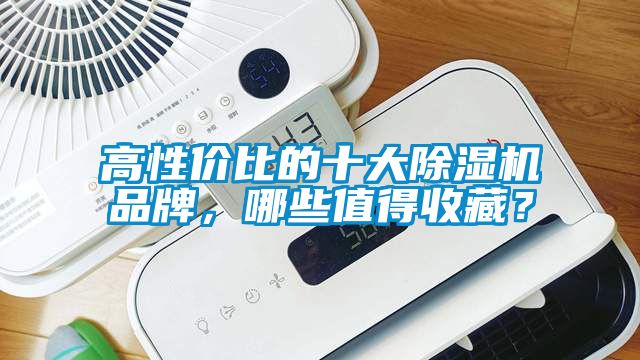 高性价比的十大芭乐APP下载官网入口新版品牌，哪些值得收藏？