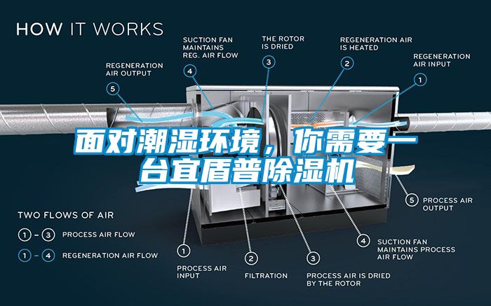 面对潮湿环境，你需要一台宜盾普芭乐APP下载官网入口新版