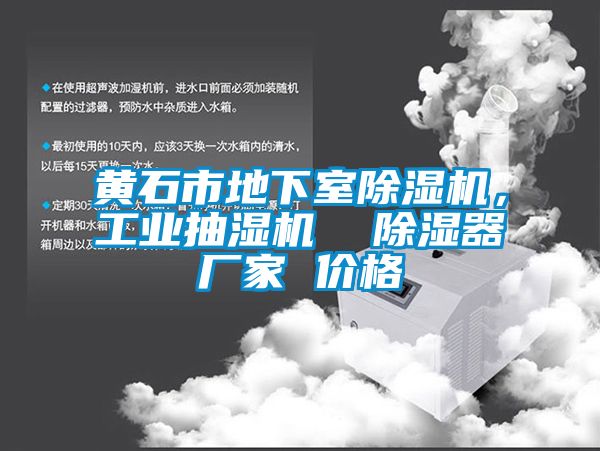 黄石市地下室芭乐APP下载官网入口新版，工业抽湿机  除湿器厂家 价格