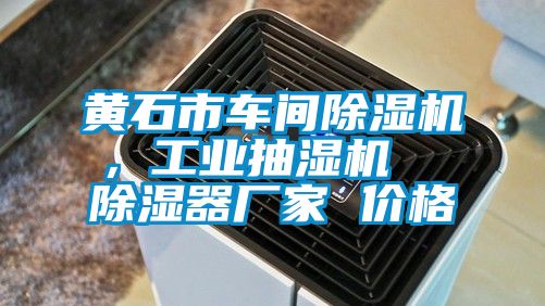 黄石市车间芭乐APP下载官网入口新版，工业抽湿机  除湿器厂家 价格