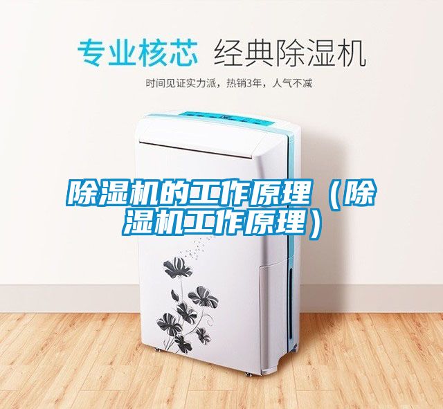 芭乐APP下载官网入口新版的工作原理（芭乐APP下载官网入口新版工作原理）