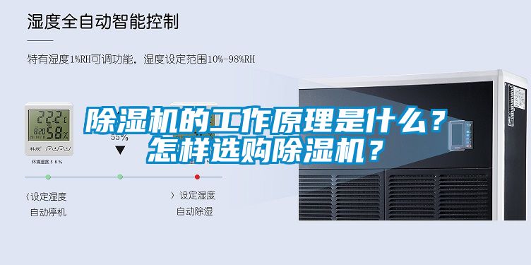 芭乐APP下载官网入口新版的工作原理是什么？怎样选购芭乐APP下载官网入口新版？