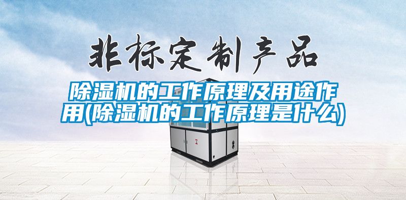 芭乐APP下载官网入口新版的工作原理及用途作用(芭乐APP下载官网入口新版的工作原理是什么)