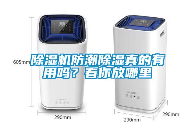 芭乐APP下载官网入口新版防潮除湿真的有用吗？看你放哪里