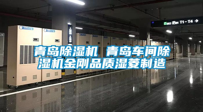 青岛芭乐APP下载官网入口新版 青岛车间芭乐APP下载官网入口新版金刚品质湿菱制造