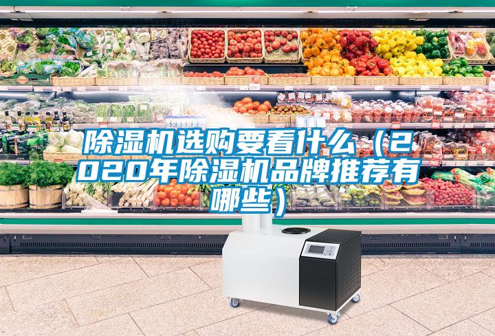 芭乐APP下载官网入口新版选购要看什么（2020年芭乐APP下载官网入口新版品牌推荐有哪些）